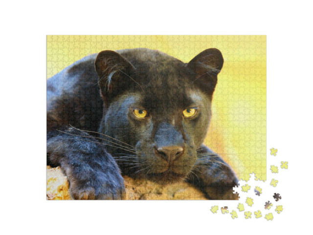 Puzzle 1000 Teile „Der Leopard, auch als schwarze Panther bezeichnet“