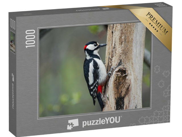 Puzzle 1000 Teile „Specht beim Klopfen am Baum“