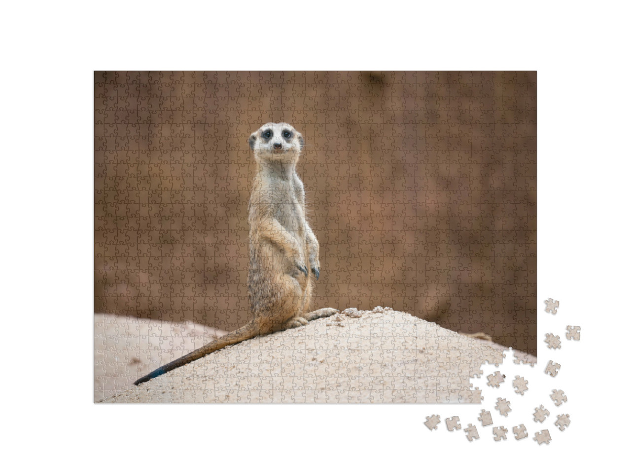 Puzzle 1000 Teile „Niedliches Erdmännchen, Suricata suricatta, auf einem Felsen stehend“