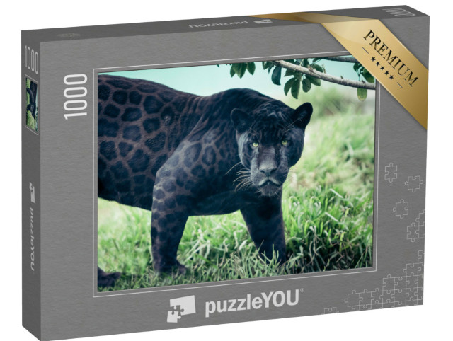 Puzzle 1000 Teile „Schwarzer Panther“