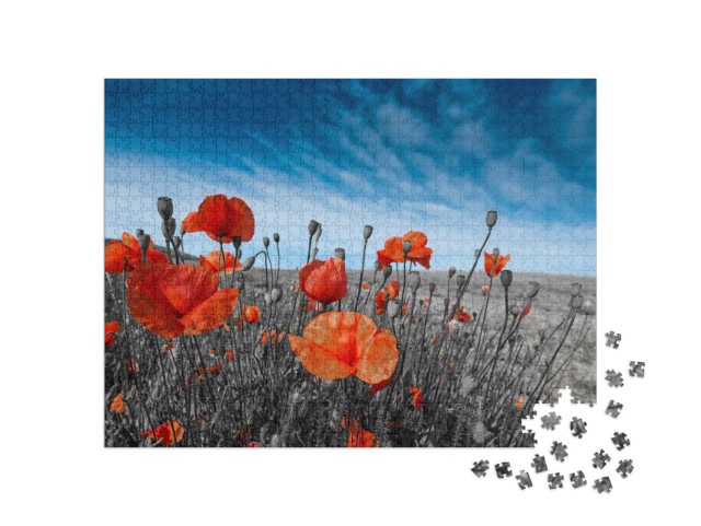 Puzzle 1000 Teile „Mohnblumen auf einer Wiese“