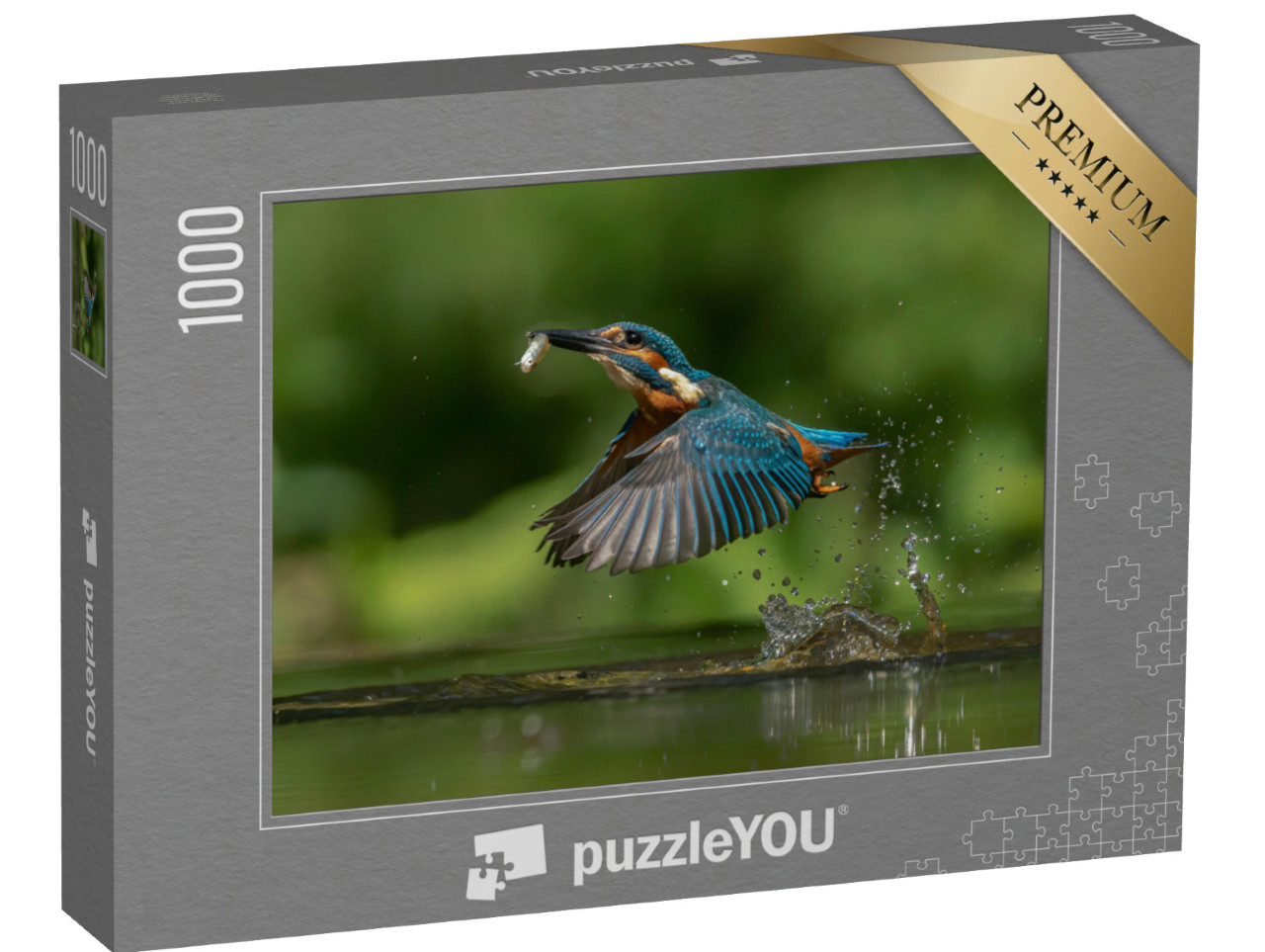 Puzzle 1000 Teile „Europäischer Eisvogel, Alcedo atthis mit Fisch als Beute“