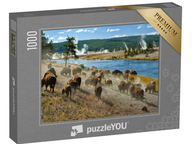 Puzzle 1000 Teile „Eine Bisonherde am Firehole River im Yellowstone Nationalpark“