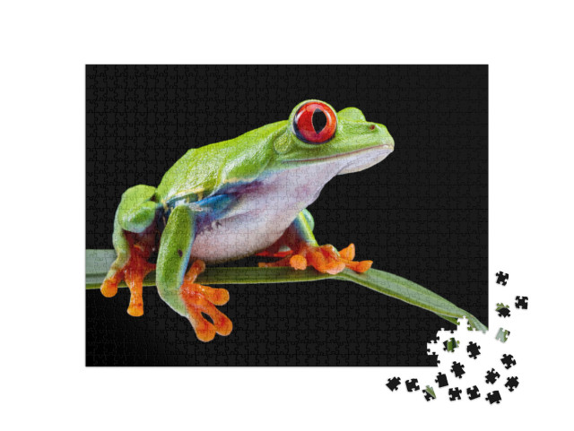Puzzle 1000 Teile „Rotäugiger Laubfrosch auf einem Blatt“