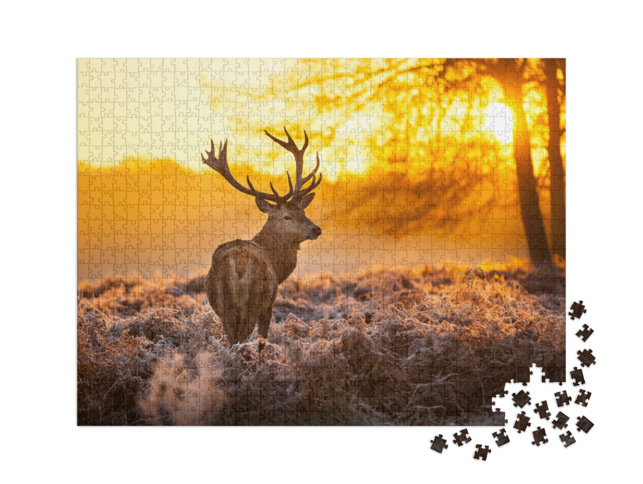 Puzzle 1000 Teile XXL „Rothirsch in der Morgensonne“