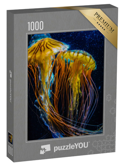 Puzzle 1000 Teile „Wunderschöne, jedoch giftige Quallen“