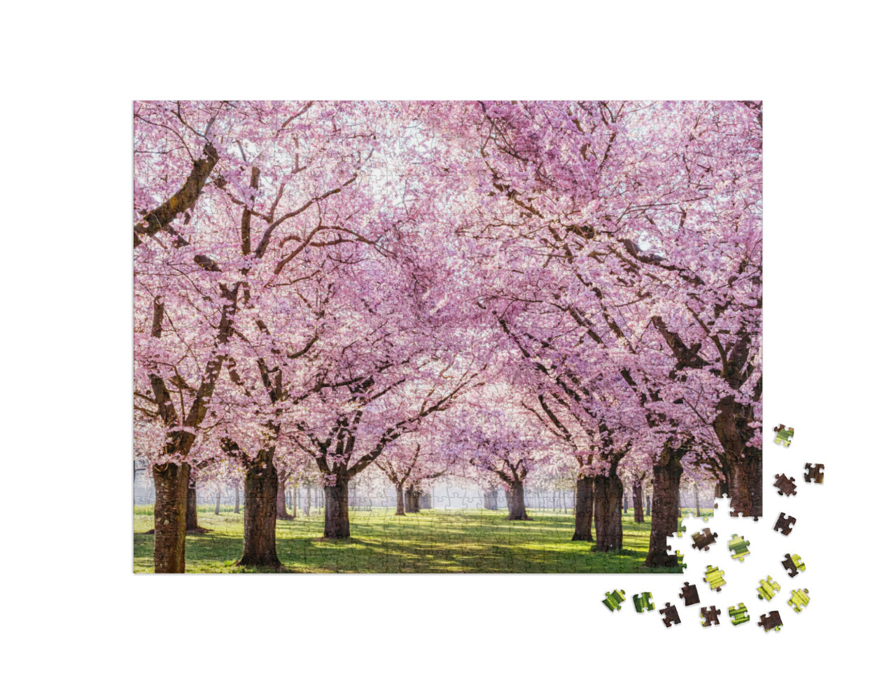 Puzzle 1000 Teile „Sakura-Kirschblüten-Allee in einem wunderschönen Park“