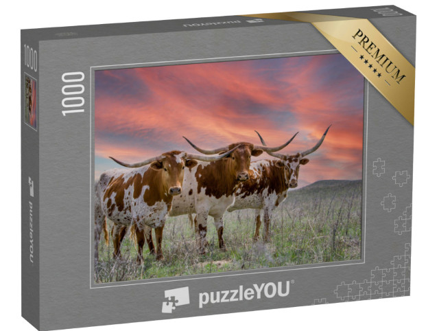 Puzzle 1000 Teile „Texas-Langhorn-Rinder auf einer Weide im Oklahoma Panhandle“