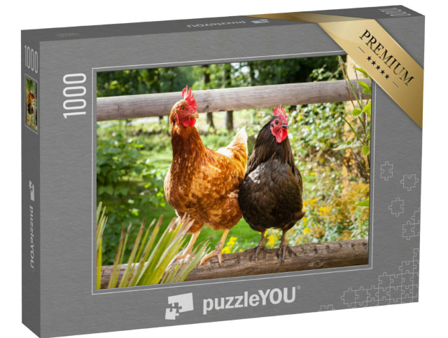 Puzzle 1000 Teile „Glückliche Hühner auf einem Holzzaun im Freien“