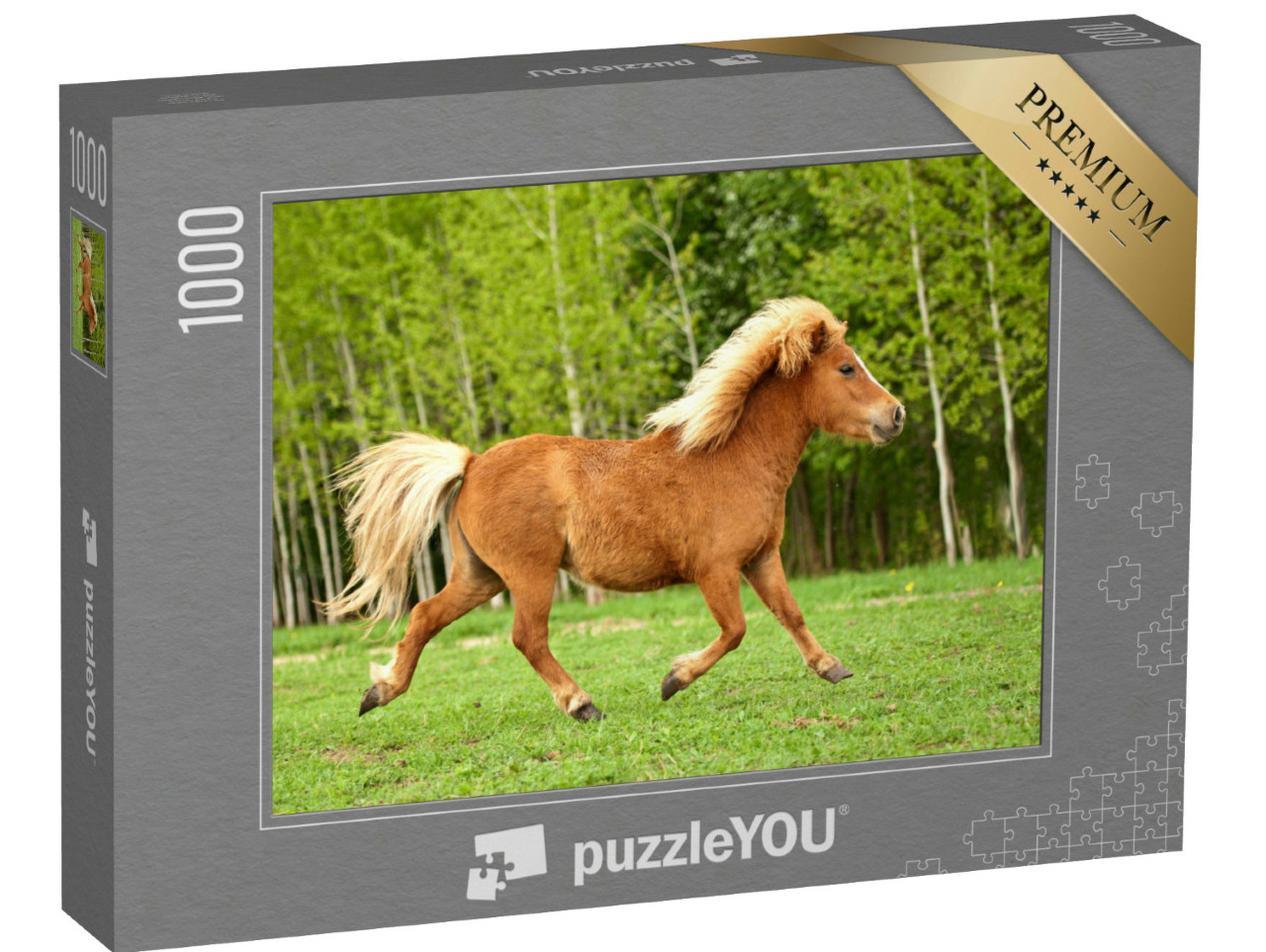 Puzzle 1000 Teile „Pony im Trab auf einer Sommerwiese“