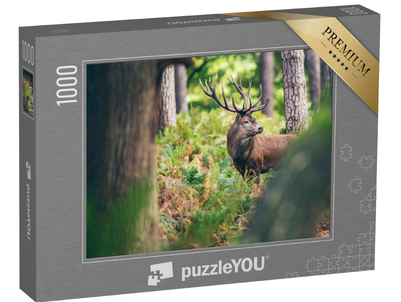 Puzzle 1000 Teile „Rothirsch zwischen Farnen im Herbstwald“