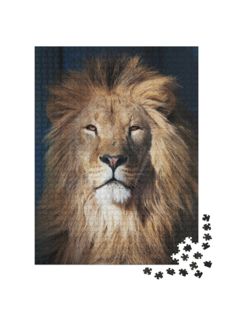 Puzzle 1000 Teile „Porträt eines Löwen“