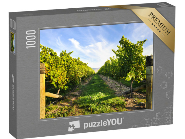 Puzzle 1000 Teile „Reihe von Weinbergen bei schönem Wetter “