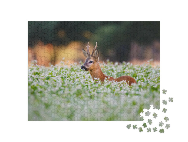 Puzzle 1000 Teile „Rehe in einem Blumenfeld“