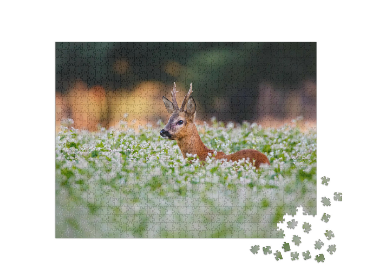 Puzzle 1000 Teile „Rehe in einem Blumenfeld“