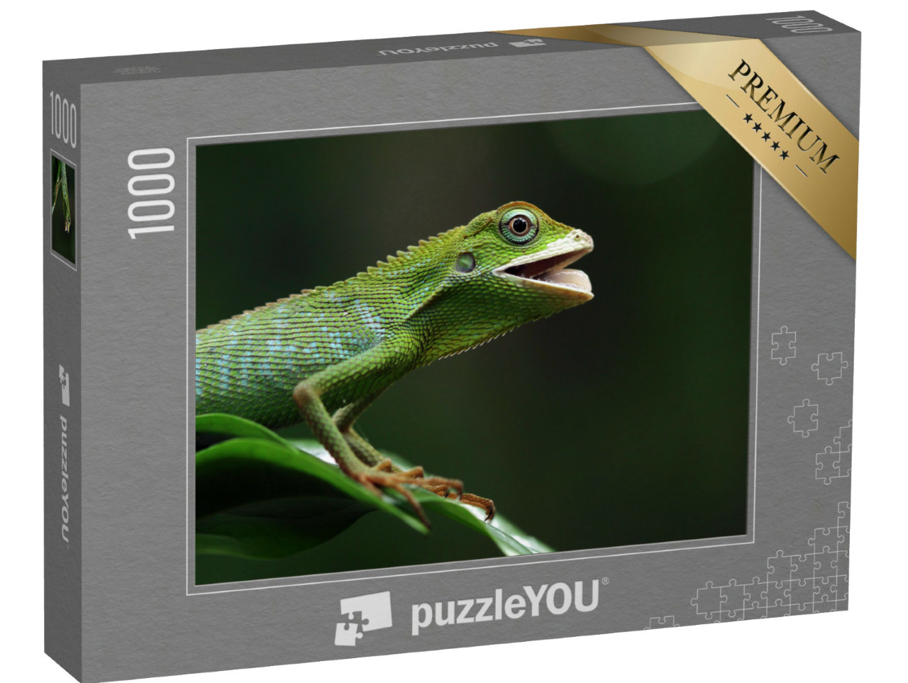 Puzzle 1000 Teile „Smaragdeidechse sonnt sich auf einem Ast, Jubata-Eidechse“