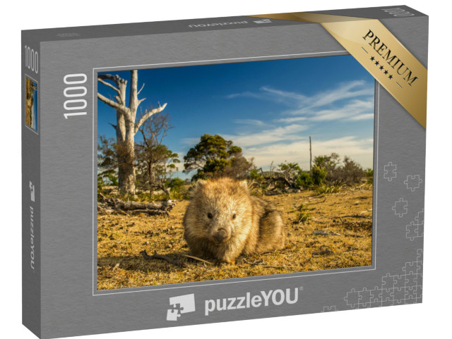 Puzzle 1000 Teile „Wombat beim Grasen im tasmanisch-australischen Busch“