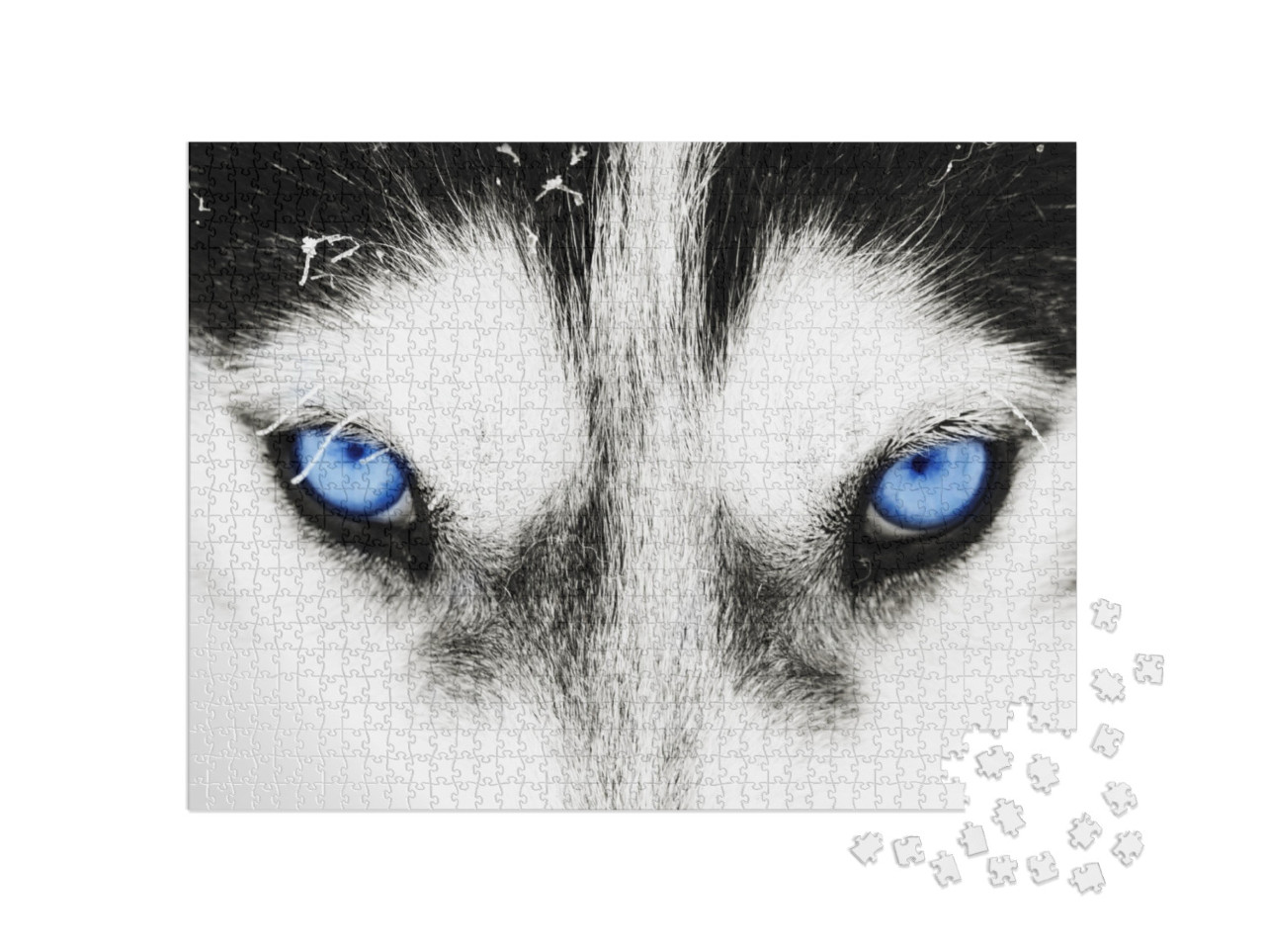 Puzzle 1000 Teile „Nahaufnahme: Die blauen Augen eines Husky-Hundes“