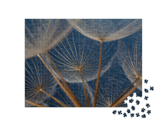 Puzzle 1000 Teile „Makroaufnahme: Elemente einer Pusteblume“