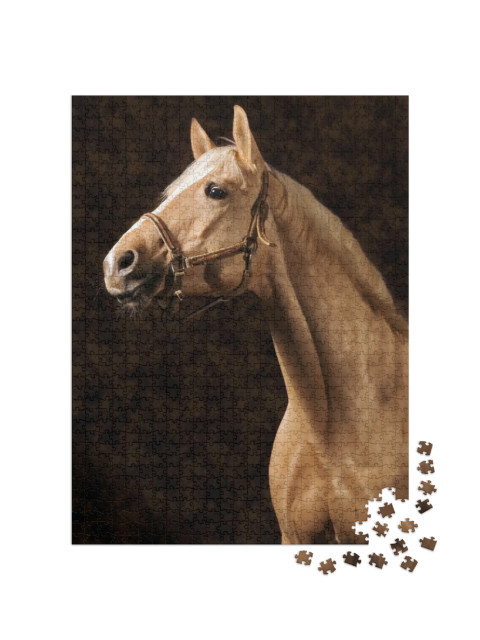 Puzzle 1000 Teile „Wunderschönes Palomino Pferd“