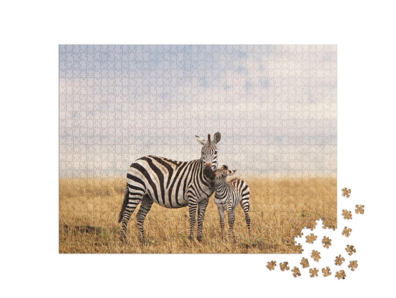 Puzzle 1000 Teile „Burchell- oder Steppenzebra in Tansania“