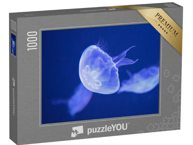 Puzzle 1000 Teile „Zarte Seemond-Qualle“