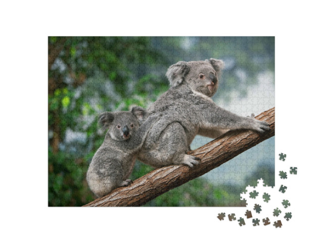 Puzzle 1000 Teile „Koala-Weibchen mit Jungtier“