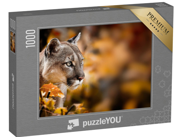 Puzzle 1000 Teile „Puma, auch bekannt als Berglöwe“