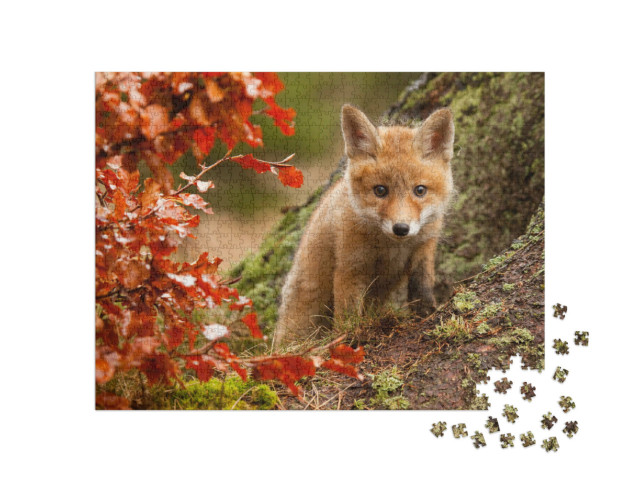 Puzzle 1000 Teile „Neugieriges Fuchsjunges“