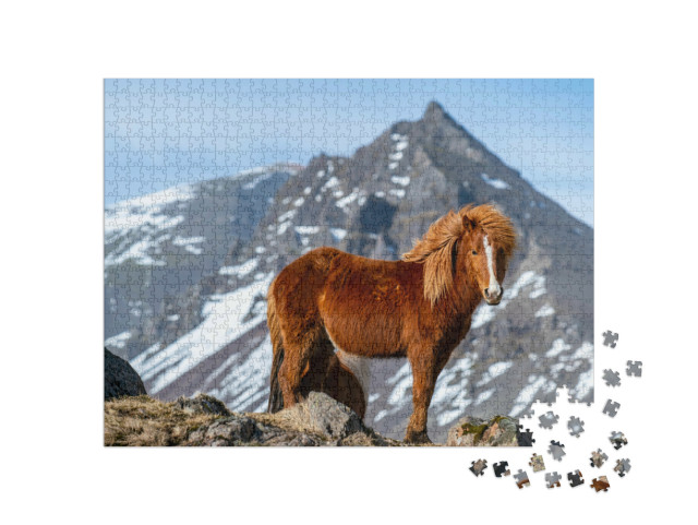 Puzzle 1000 Teile „Island-Pferd“