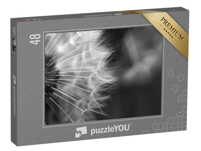 Puzzle 48 Teile „Makrofotografie einer Pusteblume “