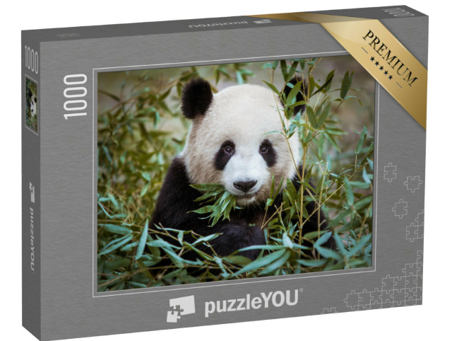 Puzzle 1000 Teile „Riesenpanda, den Mund voller Bambus“