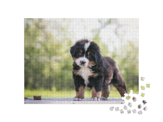 Puzzle 1000 Teile „Niedlicher Berner Sennenhund Welpe“