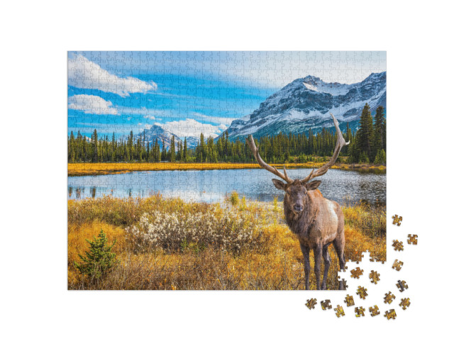Puzzle 1000 Teile „Französisch-Kanada: ein Golfplatz umgeben von schönem Herbstpark“