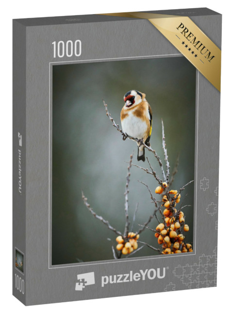 Puzzle 1000 Teile „Der Stieglitz, ein Singvogel“