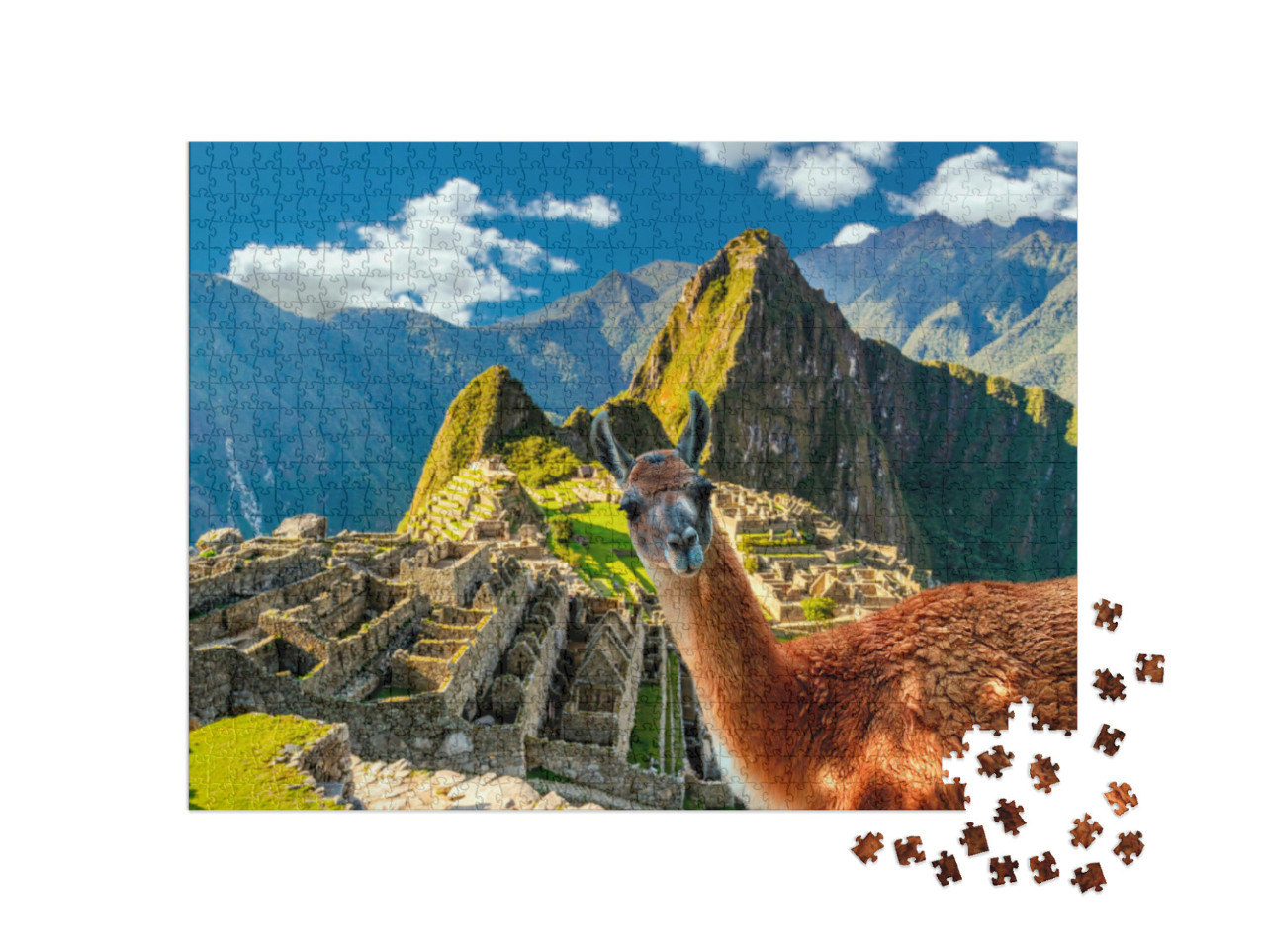 Puzzle 1000 Teile „Lama, das am Aussichtspunkt Machu Picchu in Peru steht“