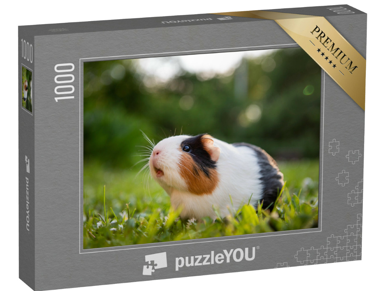 Puzzle 1000 Teile „Meerschweinchen auf einer Wiese“