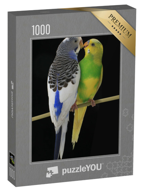 Puzzle 1000 Teile „Ein australisches Wellensittichpaar auf einem Ast “