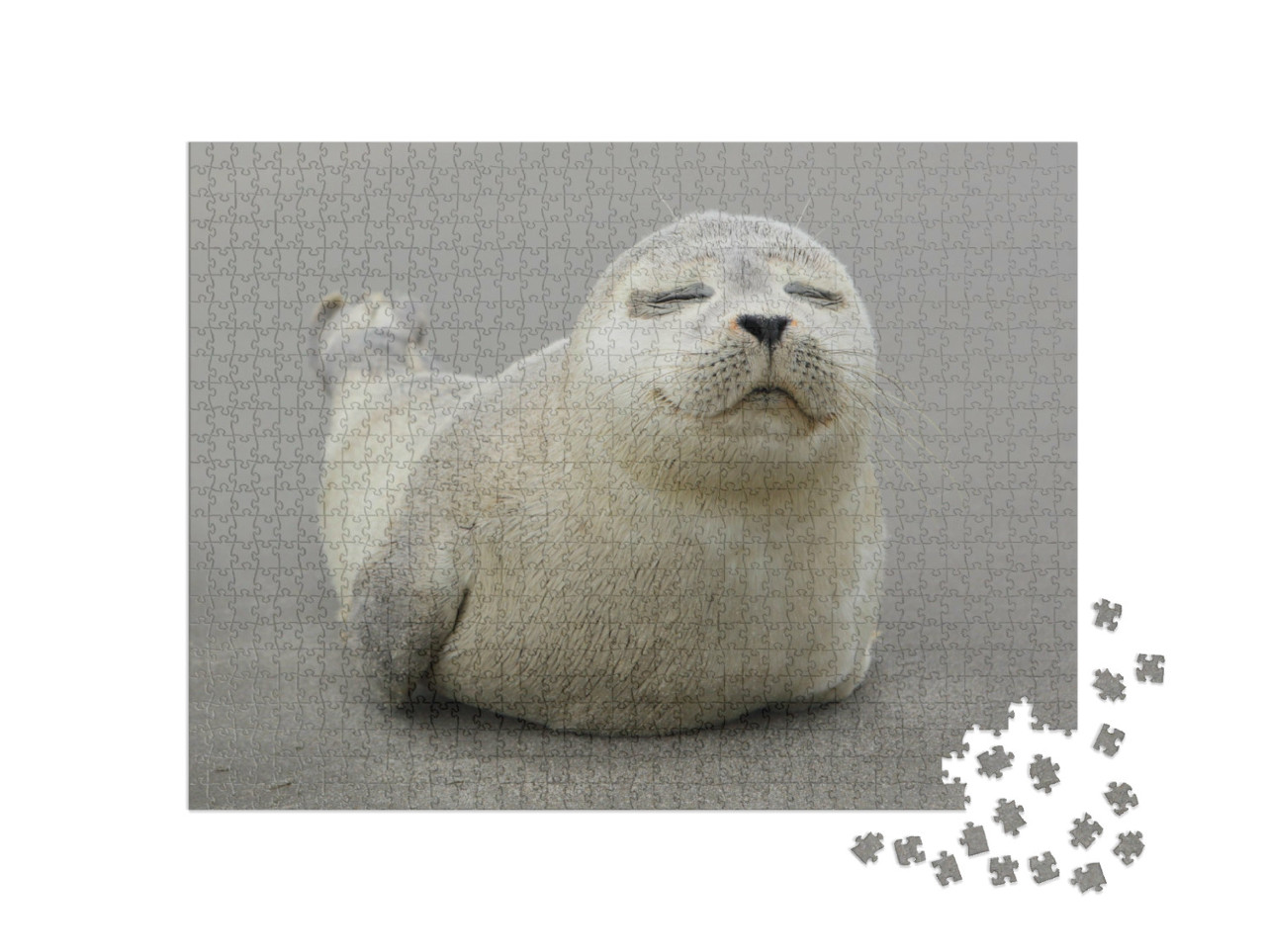 Puzzle 1000 Teile „Niedliches Kegelrobbenjungtier“