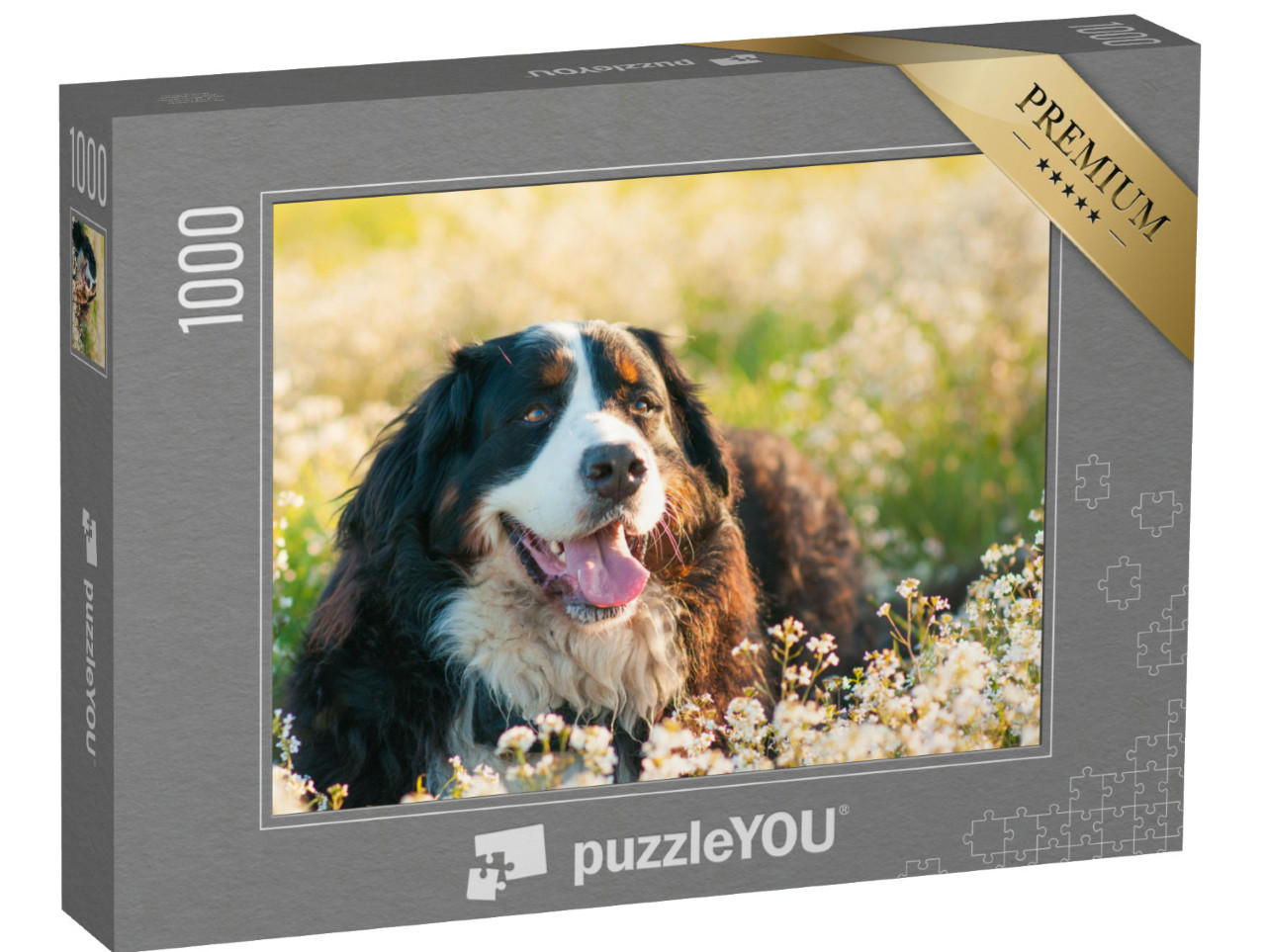 Puzzle 1000 Teile „Berner Sennenhund auf der Blumenwiese“