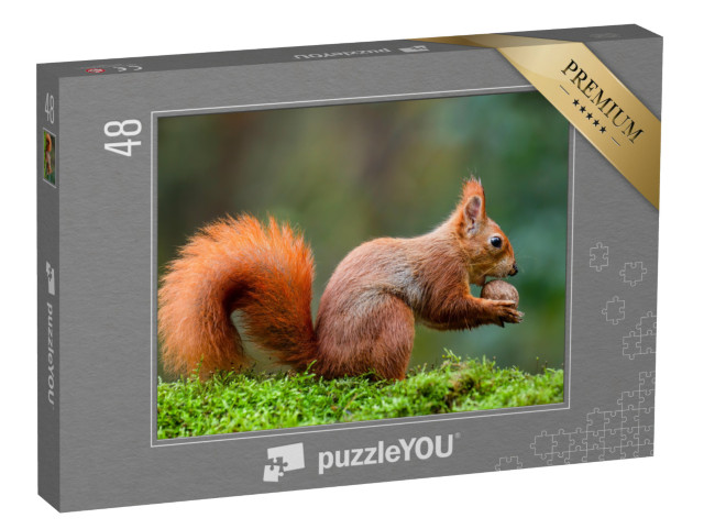 Puzzle 48 Teile „Ein rotes Eichhörnchen frisst eine Nuss auf einem Moosstamm“