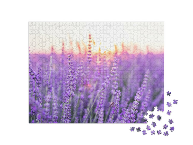 Puzzle 1000 Teile „Sonnenuntergang über einem Lavendelfeld, Provence, Frankreich“