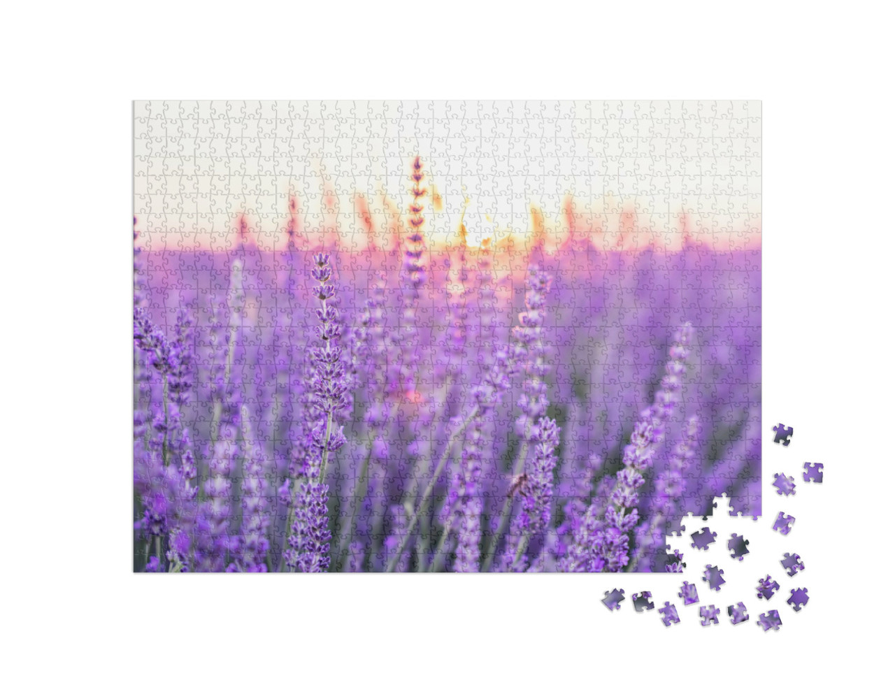 Puzzle 1000 Teile „Sonnenuntergang über einem Lavendelfeld, Provence, Frankreich“