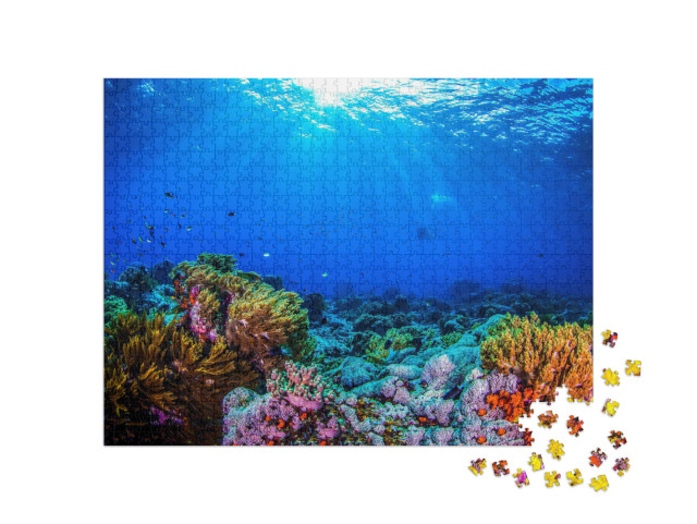 Puzzle 1000 Teile „Wunderschönes Korallenriff“