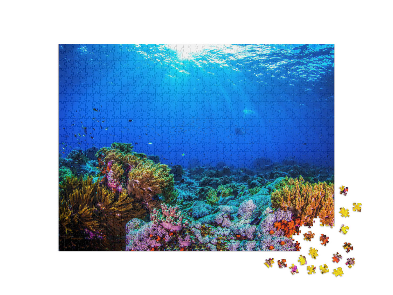 Puzzle 1000 Teile „Wunderschönes Korallenriff“