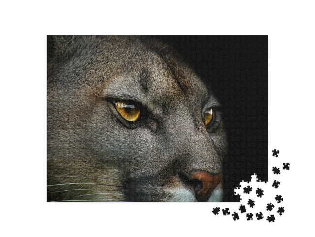 Puzzle 1000 Teile „Nahaufnahme eines Pumas“