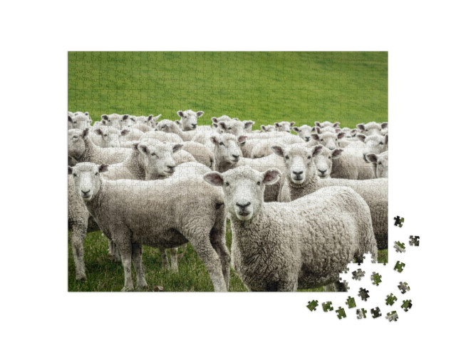 Puzzle 1000 Teile „Schafherde“