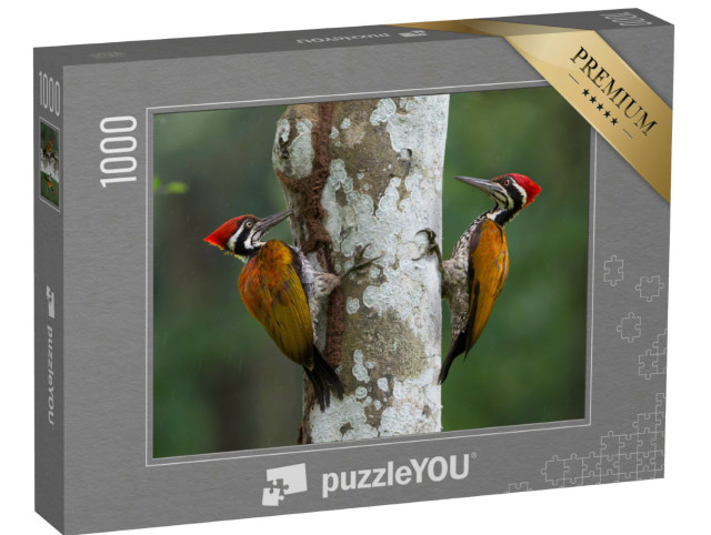 Puzzle 1000 Teile „Großer Goldrückenspecht auf der Such nach Nahrung“