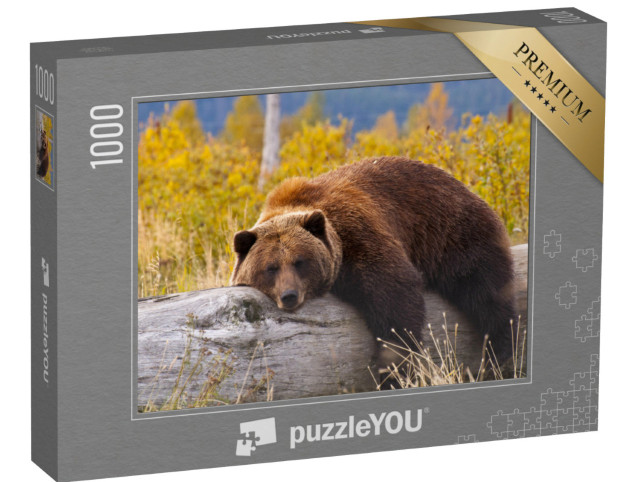 Puzzle 1000 Teile „Grizzlybär, Alaska“