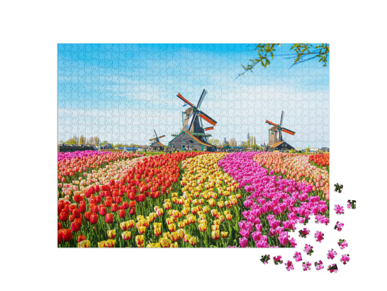 Puzzle 1000 Teile „Landschaft mit Tulpen und Windmühlen, Niederlande“